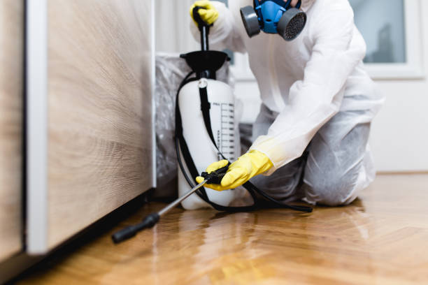 Best Rat Extermination Near Me  in Mulberry, OH