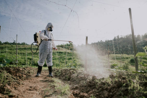 Best Mosquito Control Services  in Mulberry, OH