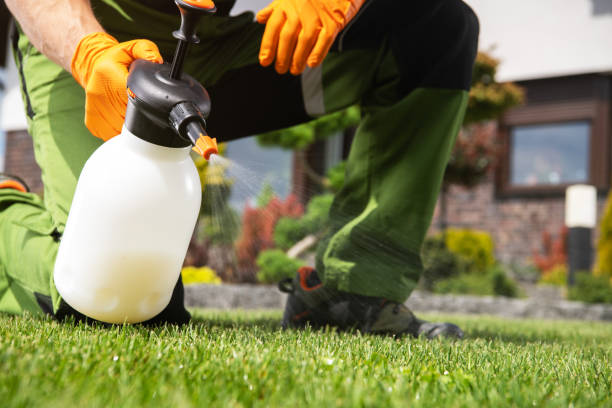 Best Cockroach Control Services  in Mulberry, OH