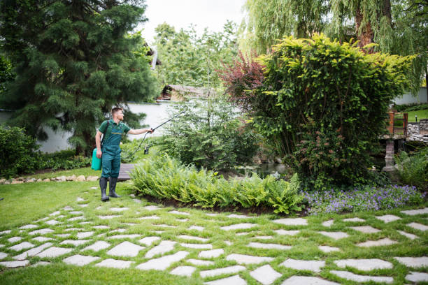 Best Wasp Removal Services  in Mulberry, OH