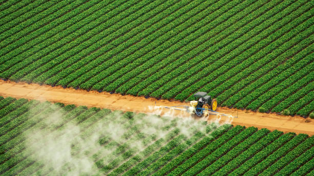Pest Control Cost in Mulberry, OH