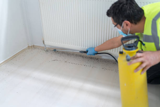 Best Bed Bug Extermination  in Mulberry, OH